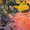 DSCF0055