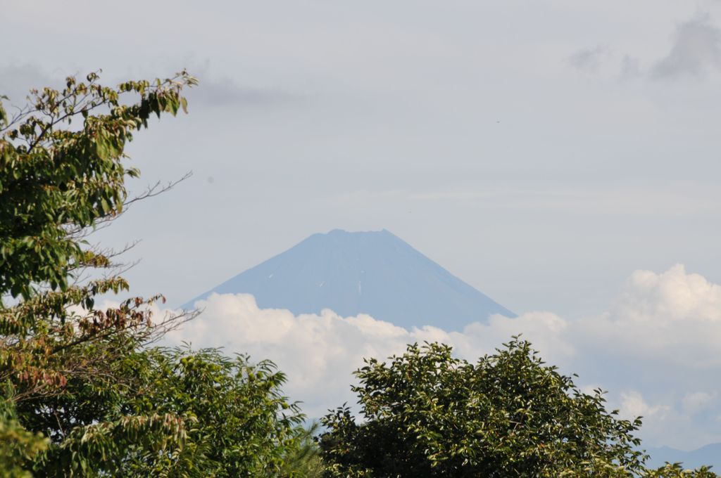 DSC_2028