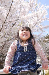 桜咲く公園で