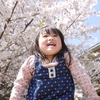 桜咲く公園で