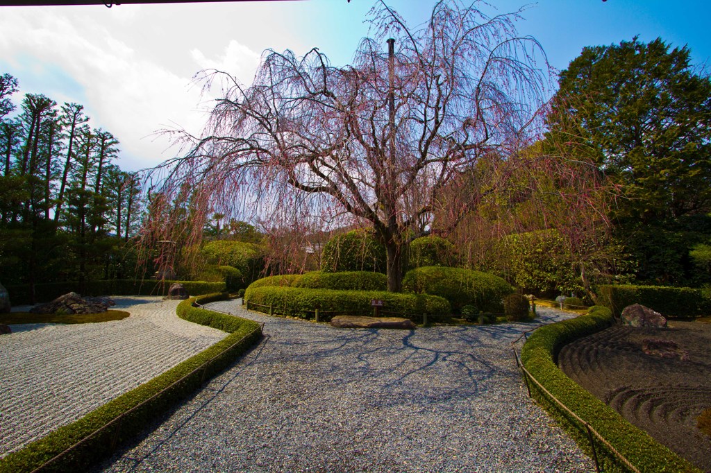 妙心寺　元信の庭１