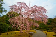 鷲峰山 高台寺３