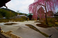 鷲峰山 高台寺１