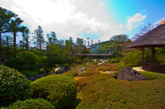 妙心寺　元信の庭２