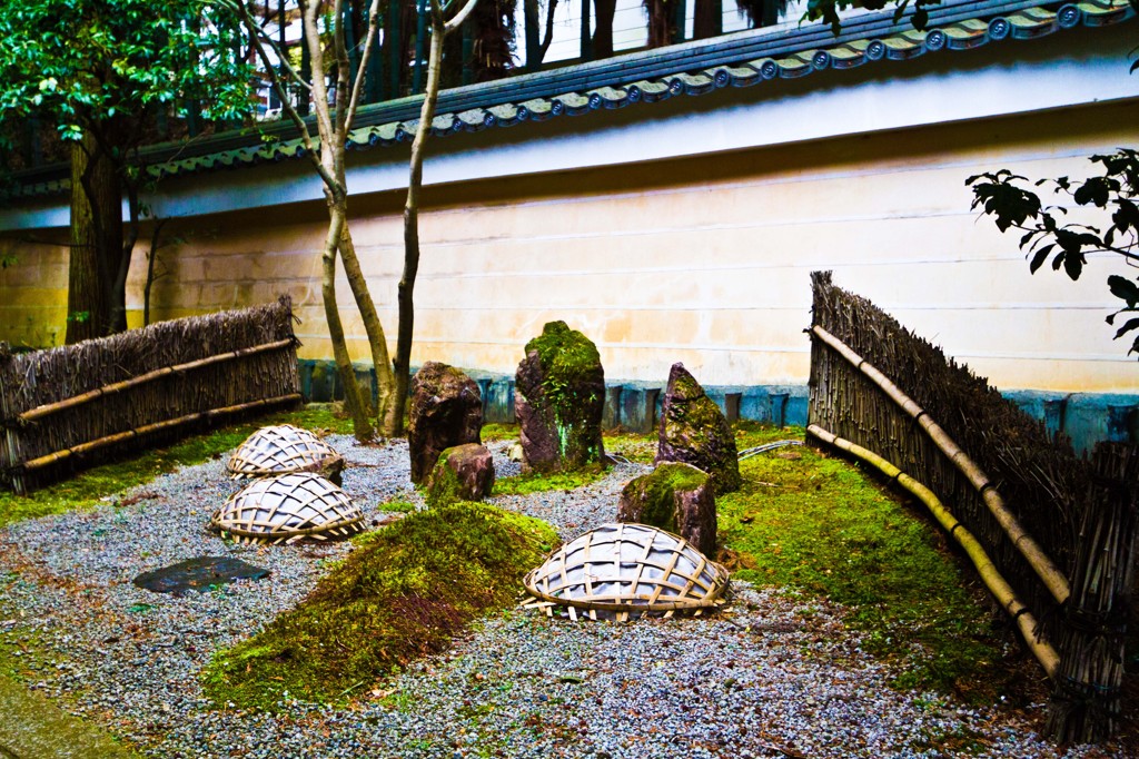 青蓮院　庭園３