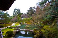 青蓮院　庭園１