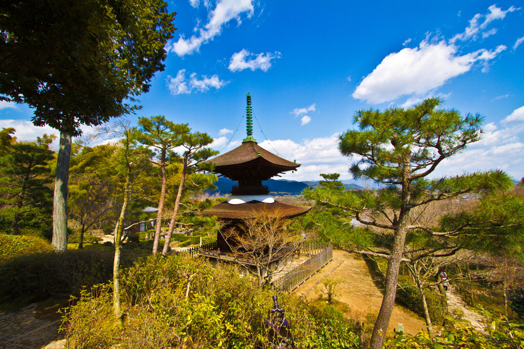 常寂光寺　多宝塔をバックに・・・