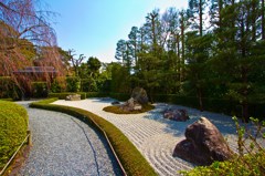 妙心寺　元信の庭４