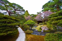 京都御所　御池庭