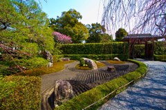 妙心寺　元信の庭３