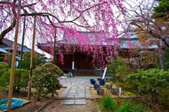 法金剛院２
