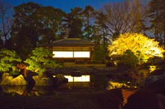 二条城　庭園