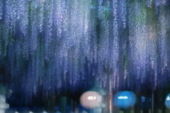 おぼろ