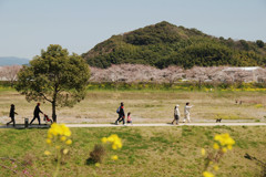 Spring has come.