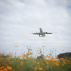 着陸中