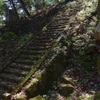 長谷寺