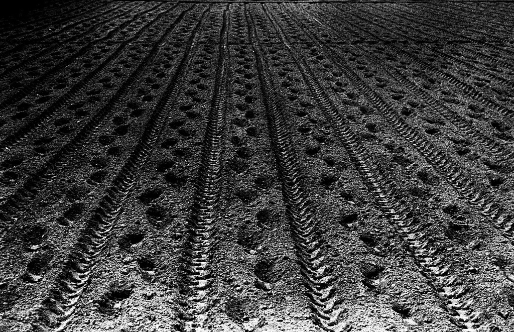 春、整えられた農地