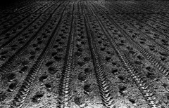 春、整えられた農地