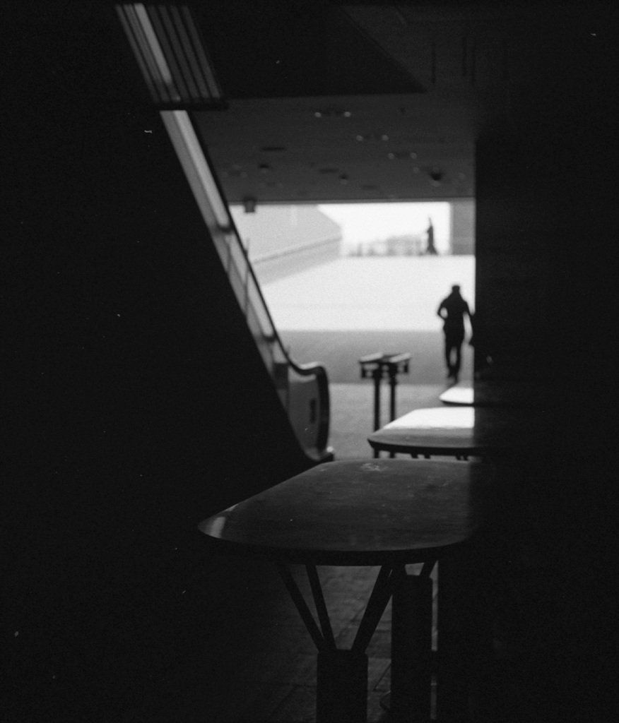 東京競馬場、レースのない日曜日