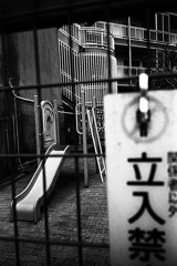 柏