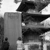 豪徳寺 三月三日 #1