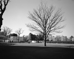 競技場の周辺 #3