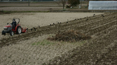 春の作業開始をカラスが祝う