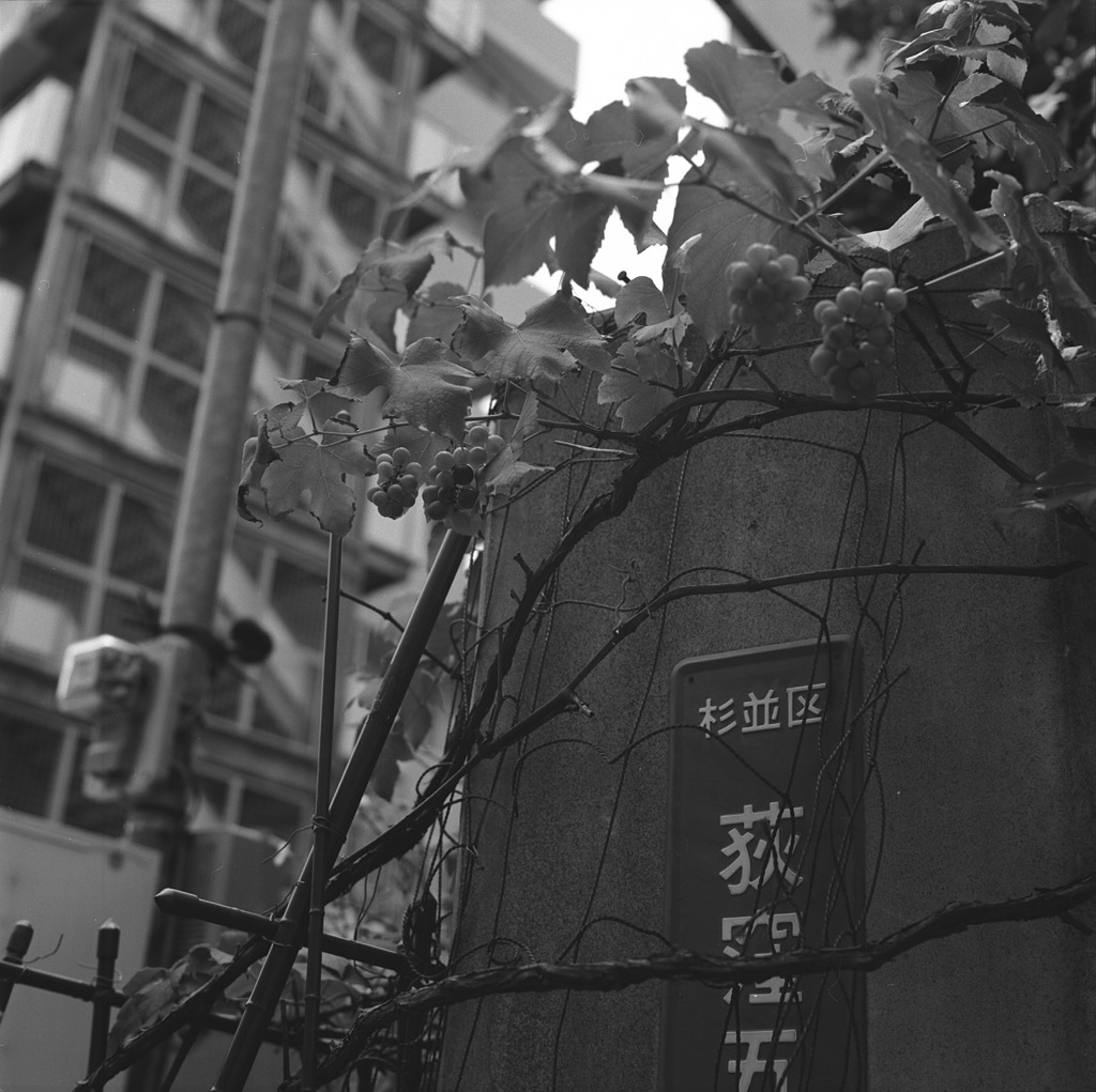 荻窪