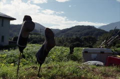伊勢原