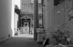 洛南 #1