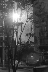 青山通り
