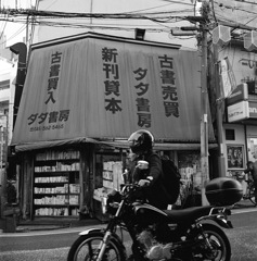 日吉