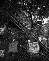 川崎 東海道線沿線 #6