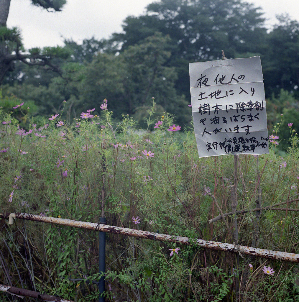 新吉田町 #4