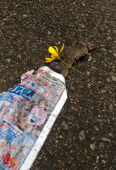 【閲覧注意】チラシの掛布団と手向けの花