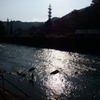 山梨 桂川