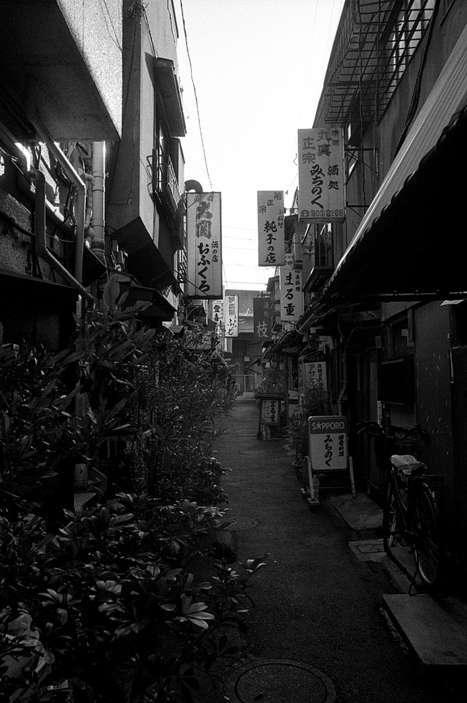 赤羽 #6