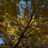 松渓公園