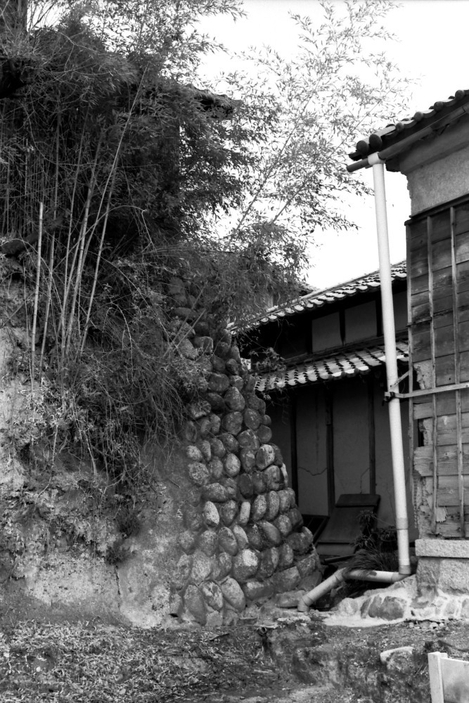 西福寺界隈 #3