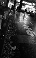 夜になって雨は上がった。
