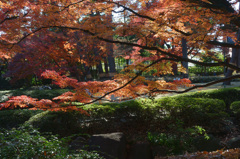 大田黒公園 #2