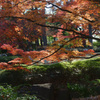 大田黒公園 #2
