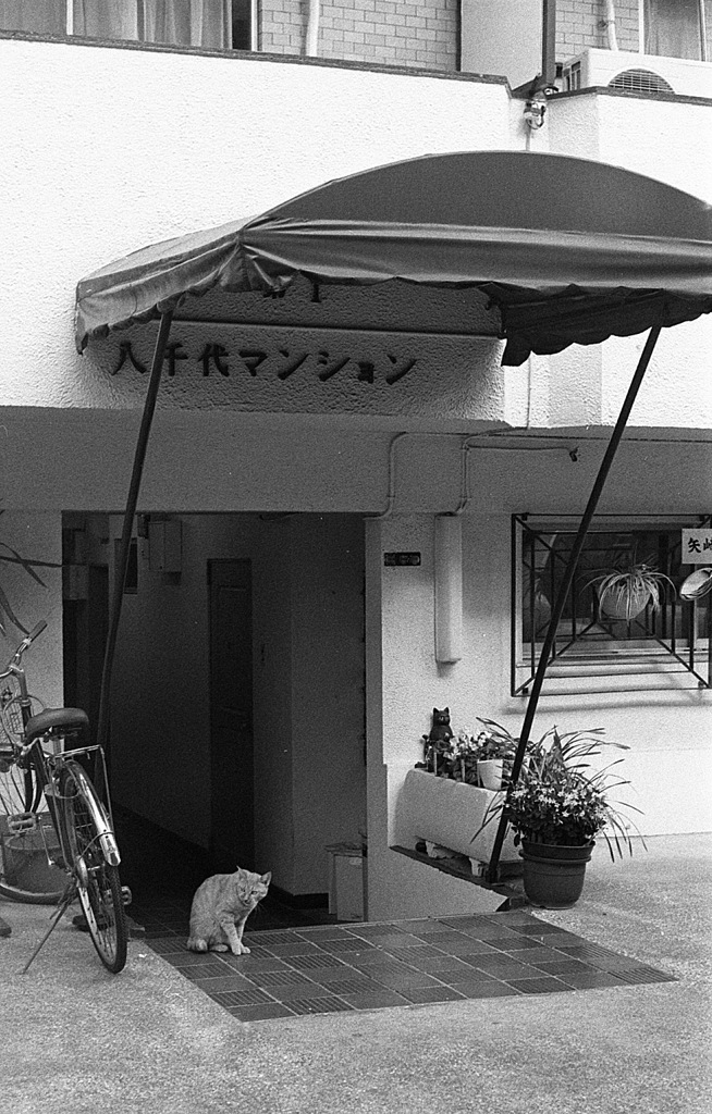 おでかけ