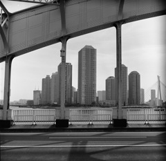 永代橋から佃島を望む