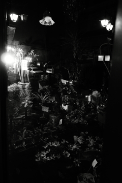 閉店後の生花店