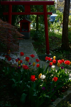 高ヶ坂