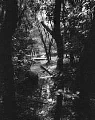 一本杉公園