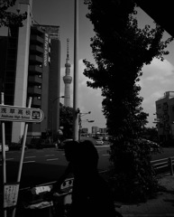 言問橋西交差点