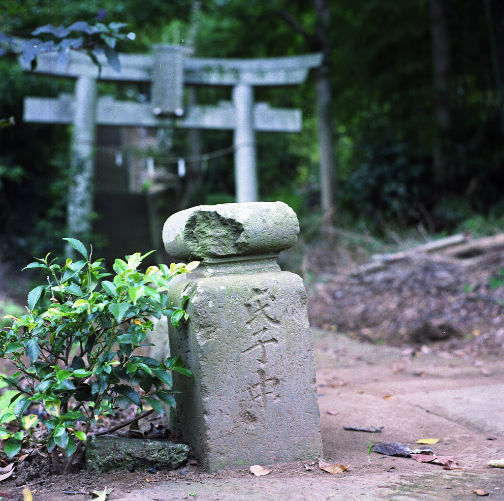 新吉田町 #2