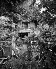 平尾 #3